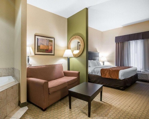 University Inn Vestal image 10