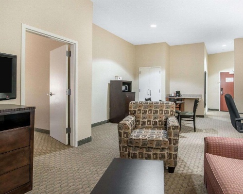 University Inn Vestal image 15