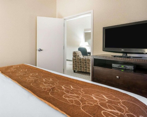 University Inn Vestal image 28