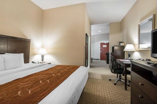 University Inn Vestal image 3